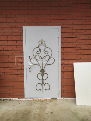 Шумоизоляционная дверь с порошковым напылением и ковкой в дом - фото